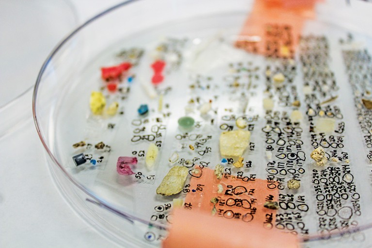Microplastics collected from a surface water sample taken in San Francisco Bay, California, USA.