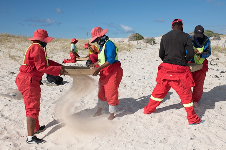 The image shows a clean-up worker collecting nurdles on the Arniston beach in the Western Cape province of South Africa.