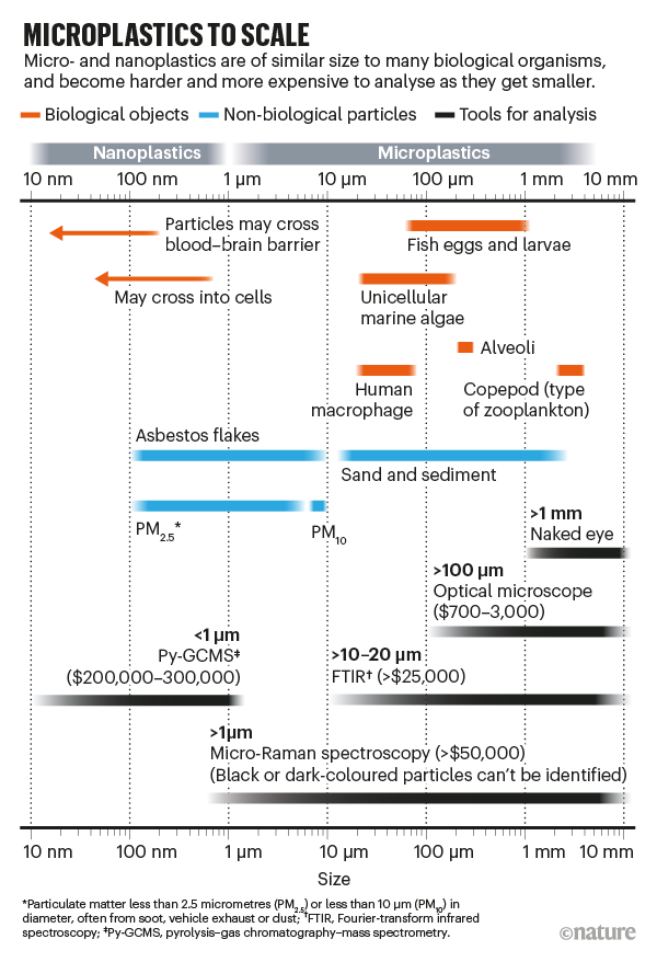 MICROPLASTICS TO SCALE: infographic comparing sizes of microplastics to biological objects and the technology needed to study th