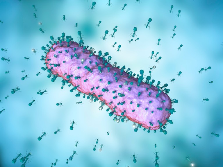 Computer illustration of bacteriophages attacking E. coli cell