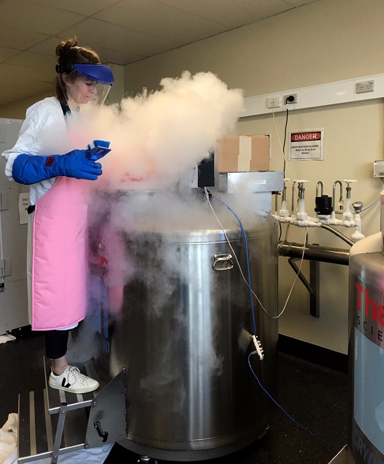 Wearing protective clothing, Siroon Bekkering stands in clouds of vapour over a liquid nitrogen cooler