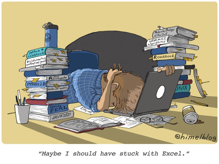 Cartoon: Person bangs head on desk strewn with coding books and a laptop. Caption: "Maybe I should have stuck with Excel."