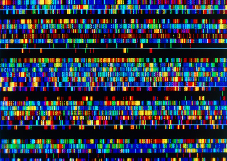Computer screen display of a human DNA sequence, made up of lots of colourful boxes on a black background.
