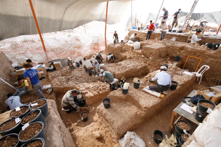 Field excavation at Nesher Ramla