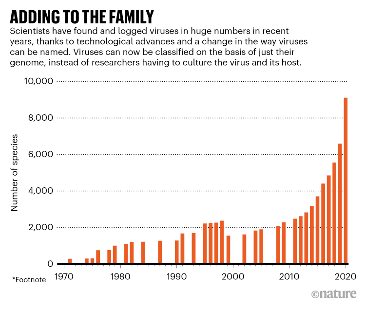 ADDING TO THE FAMILY. Graphic showing how scientists have found and logged viruses in huge numbers in recent years..