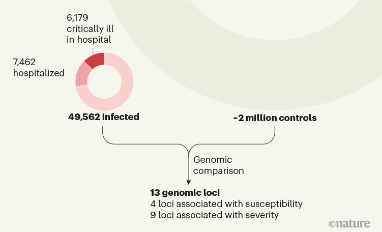 Mapping the human genetic architecture of COVID-19