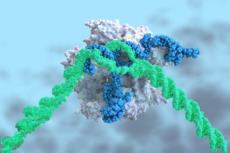 A 3D illustration of a CRISPR–Cas9 complex.