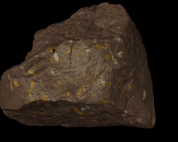 GIF from a video showing a 3D model of a probable Silesaurus coprolite with Triamyxa beetles.