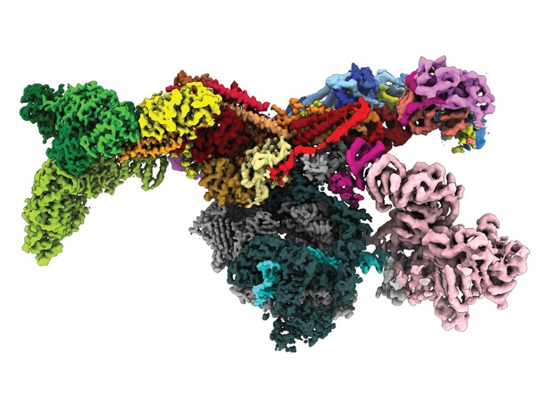 Predicting Proteome-Scale Protein Structure with Artificial Intelligence