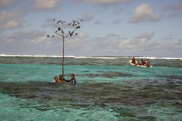 Several people in the waters of Totoya Island, Fiji mark the area as a no fishing zone with a tree.