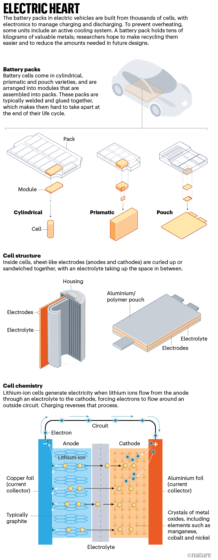 Electric heart: an infographic that shows how battery packs for electric vehicles are arranged, and how the cells operate.