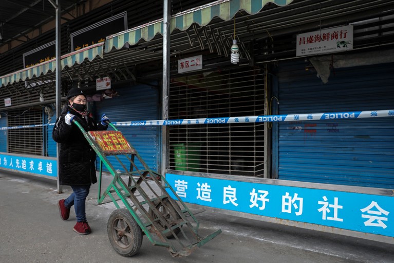 一个戴着面具的女人推一辆手推车过去关闭的关闭摊位华南海鲜批发市场,武汉,中国