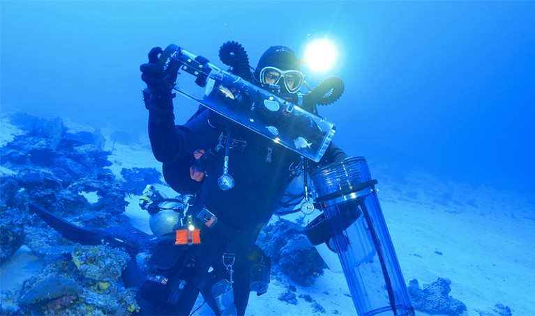 Bart Shepherd is pictured guiding fish into a decompression chamber while on expedition in Vanuatu.