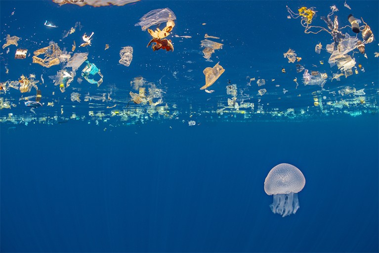 A jellyfish is photographed beneath a slick of plastic debris, Indian Ocean off Sri Lanka.