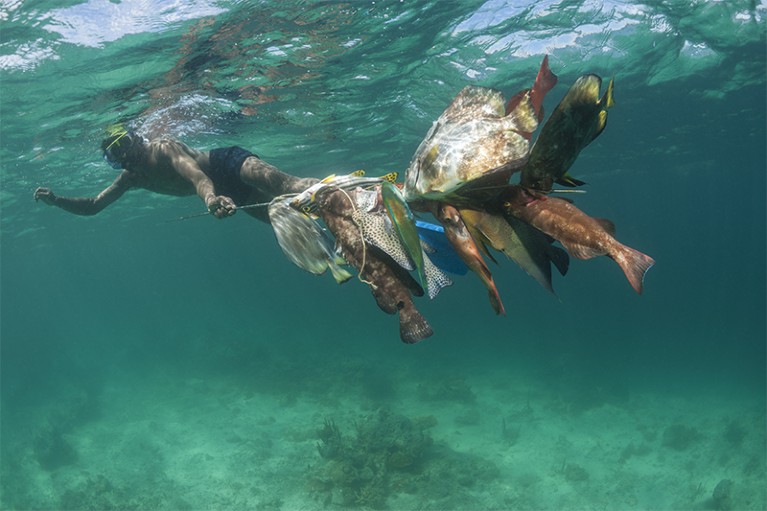 A fisherman swims holding a catch of fish in Fiji.