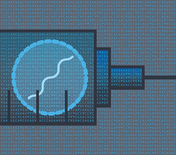 Illustration that shows the mRNA code used in the Pfizer–BioNTech vaccine, with a syringe containing a lipid nanoparticle.