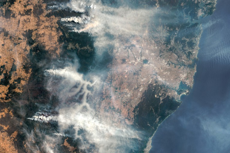 Satellite image of Australia showing huge clouds of smoke blowing from bush fires east towards Sydney.