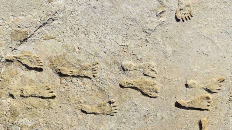Footprints at the excavation site.