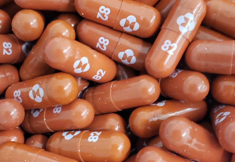 Close-up of orange experimental COVID-19 treatment pills called molnupiravir