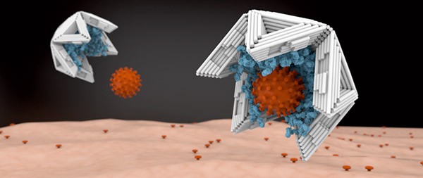 In this artist’s impression, a DNA shell traps a virus to stop it from interacting with host cells.