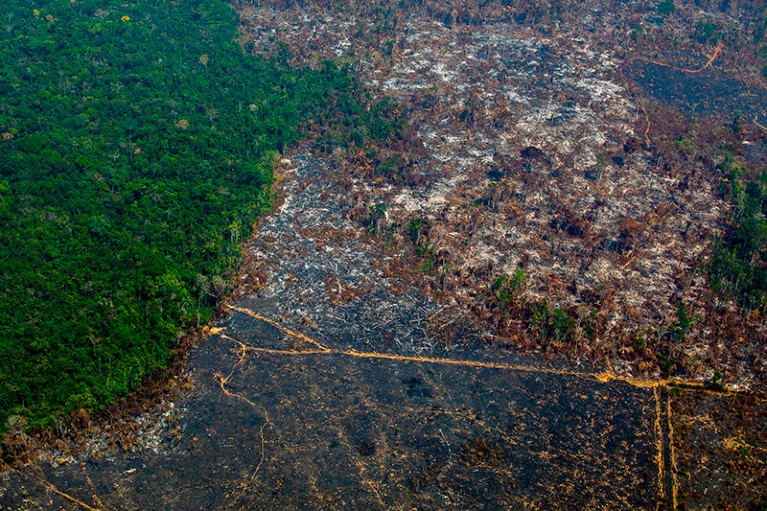 Aerial view of deforestation in Nascentes da Serra do Cachimbo Biological Reserve in Altamira, Para state, Brazil