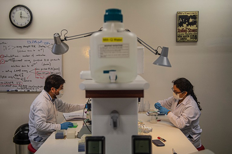 Scientists work at the Neurobiology laboratory of the Cayetano Heredia University in Lima, Peru.