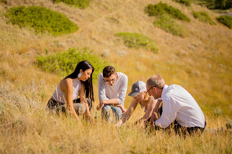 Four people are photographed examining prairie plant species