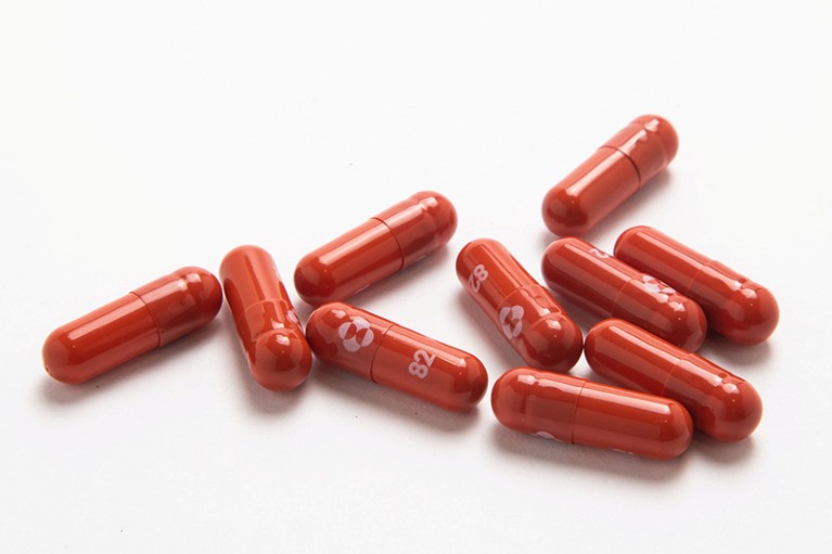Experimental COVID-19 treatment pills, called molnupiravir.