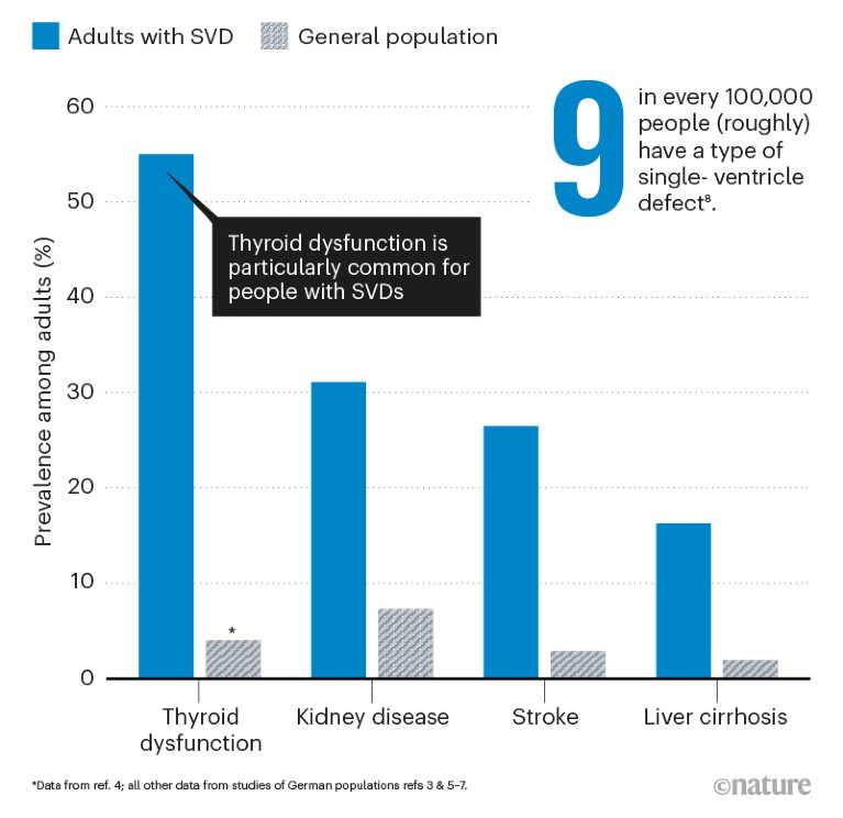 Bar chart showing relative risk that adults with SVDs will experience other diseases