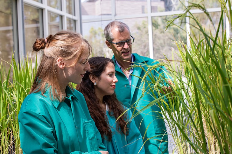 KAUST Professor of Plant Science Mark Tester is shown in the KAUST labs working with two of his Ph.D. students.