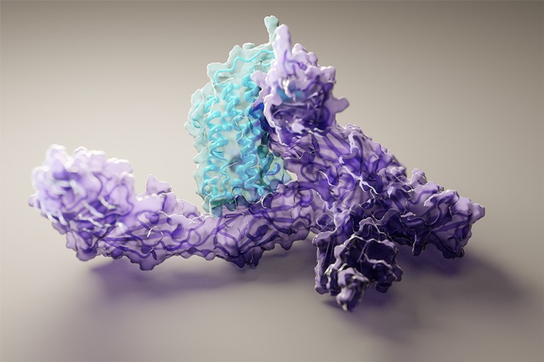 A 3D structure of interleukin-12 protein bound to its receptor, as predicted by machine-learning software