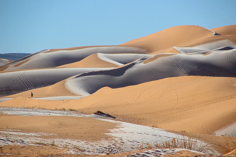 Snow caps the sand dunes of the Sahara Desert in January 2022.