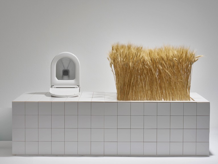 Urine diversion toilet installation at the Triennale 2019, Milan.