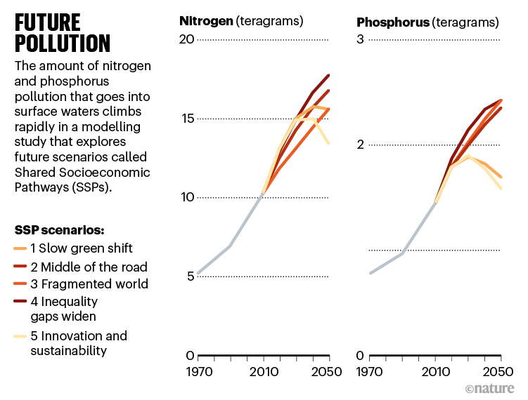 Future pollution. Charts showing modelled nitrogen and phosphorus pollution until 2050.