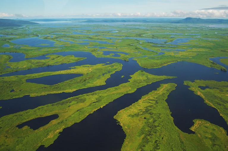 Aerial view of the Pantanal wetlands, in Mato Grosso state, Brazil.