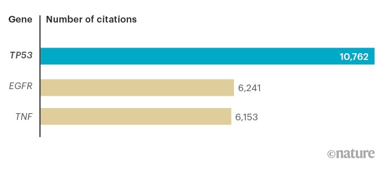 Bar chart comparing the number of cited papers on TP53 compared with EGFR and TNF