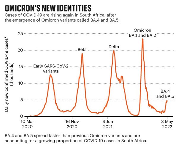 Omicron's new identities: Chart showing the rising cases of COVID-19 variants in South Africa.