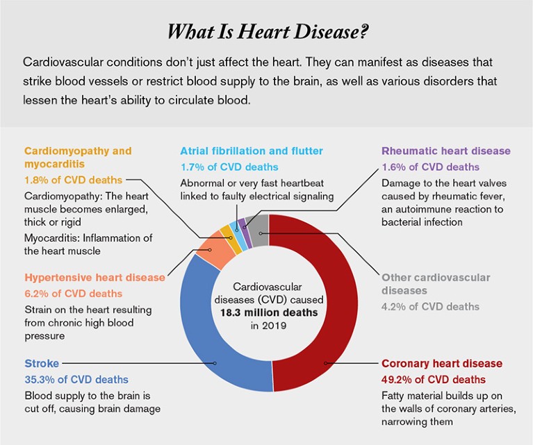 Graphic showing six cardiovascular diseases that killed 18.3 million people in 2019 and percent of deaths caused by each