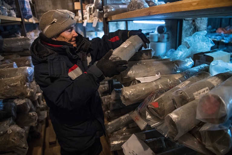 一位科学家从西伯利亚一个地下实验室的架子上取下永久冻土样本