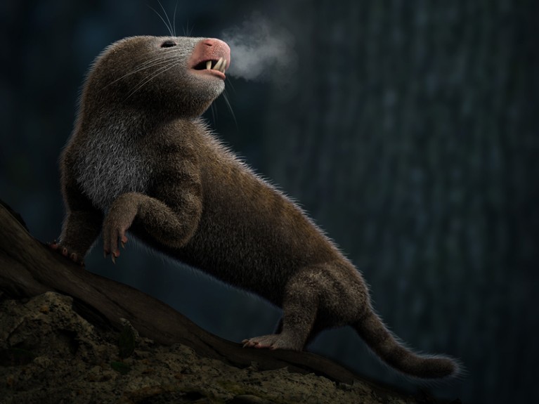 Artist's impression of a mammal-like creature breathing out hot air.