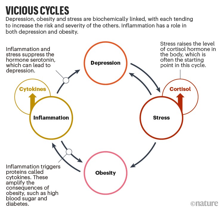 Vicious cyles: graphic showing how depression and obesity are linked and reinforce each other