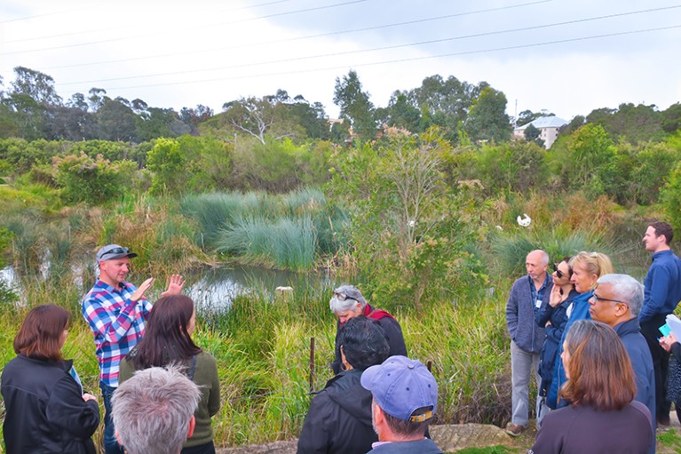 A group of people stand at the Cup and Saucer wetland, Sydney, Australia.