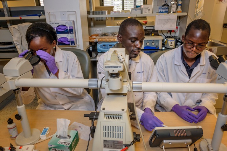 三名研究人员做的长凳上在组织病理学实验室UCI-Fred厨癌症中心在坎帕拉,乌干达