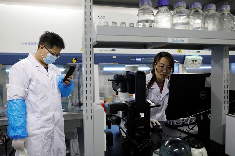 Two researcher working in a laboratory