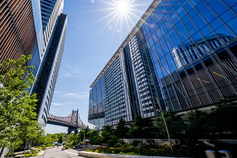 A view of buildings on Roosevelt Island in New York City.