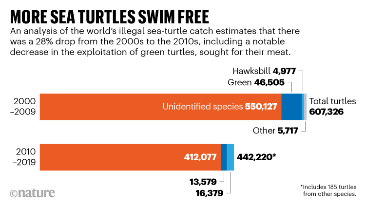 MORE SEA TURTLES SWIM FREE. Graphic comparing world’s illegal sea-turtle catch shows a 28% drop from the 2000s to the 2010s.