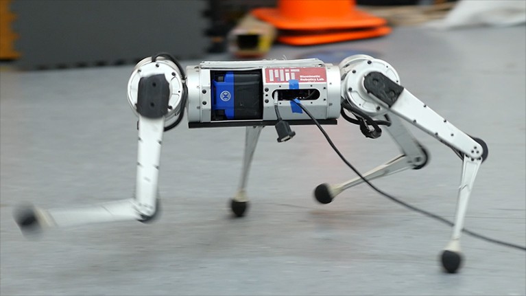 A quadruped robot with a flat body is pictured running in a laboratory. The limbs are blurred with speed