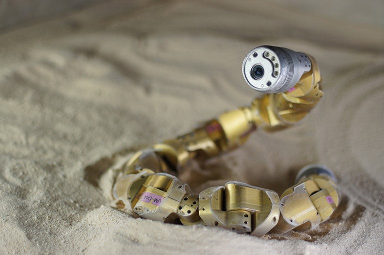 A snake like robot rears a front camera while curled in sand