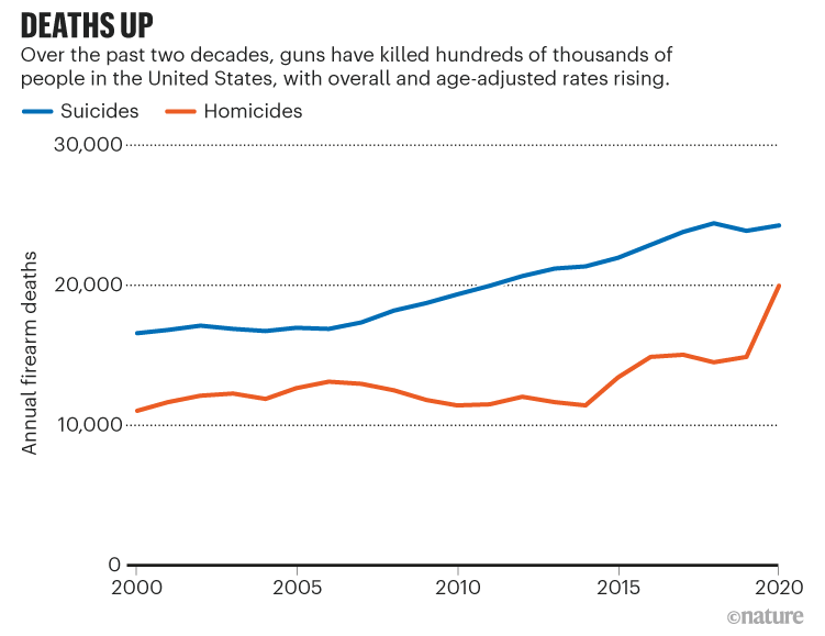 死亡了。折线图显示杀人和自杀相关的枪支死亡随着时间的推移而增加。