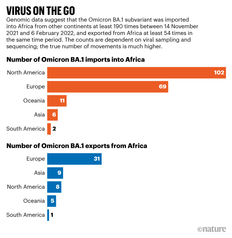 VIRUS ON THE GO. Graphic comparing Africa's Omicron BA.1 imports and exports.